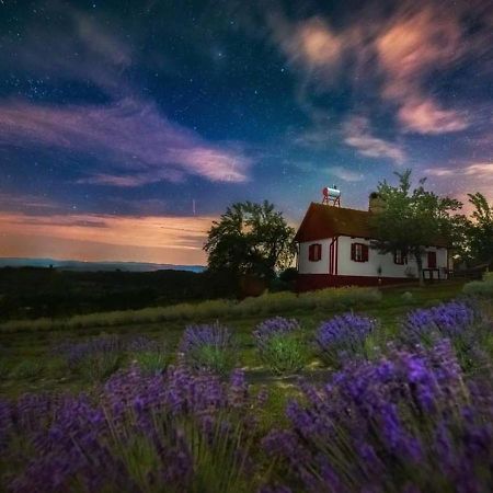Lavanda Carasova Crasova Exterior photo